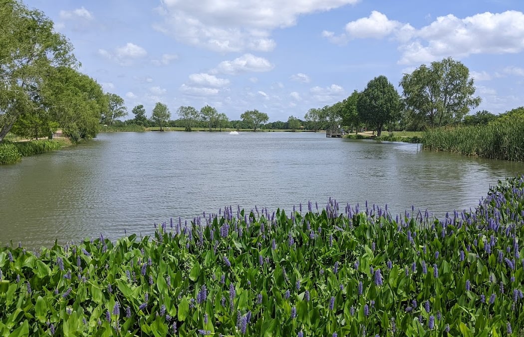 Seabourne Creek Nature Park 1